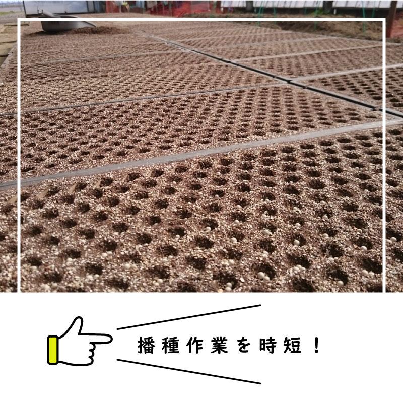 播種5点セット CP300 2粒LL-中 チェーンポット用 展開串 土詰ブラシ