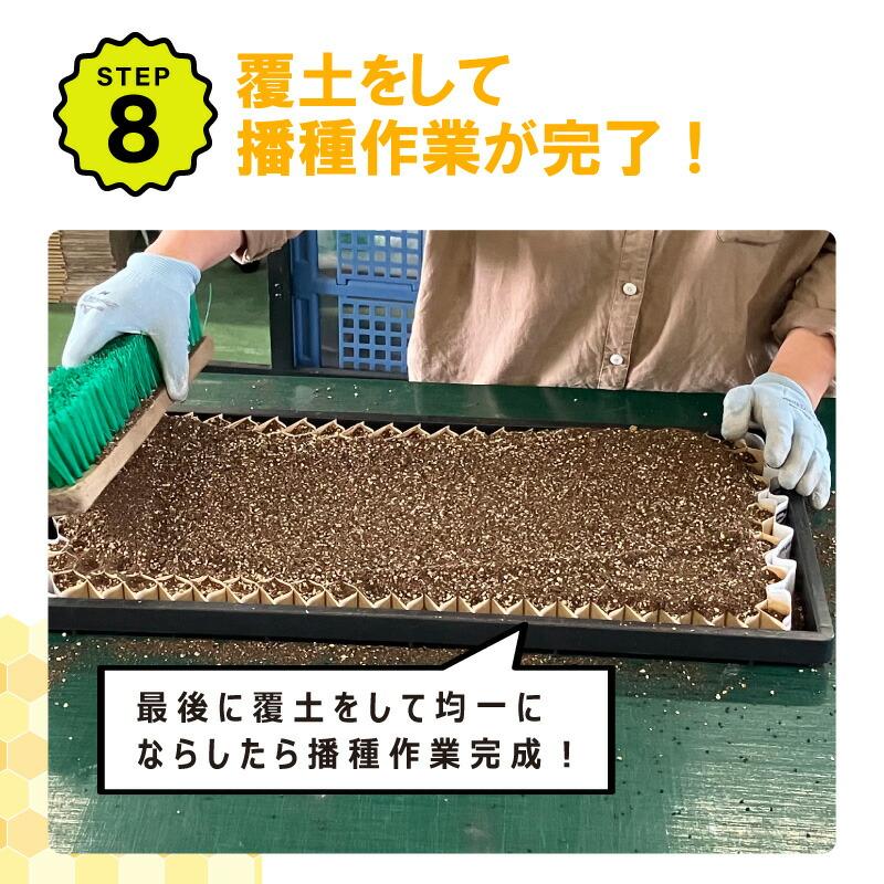 葉野菜種子用播種器セット Amazon.co.jp: S.fields.inc 種まき機 穴あけ器 手動 シーダーセット