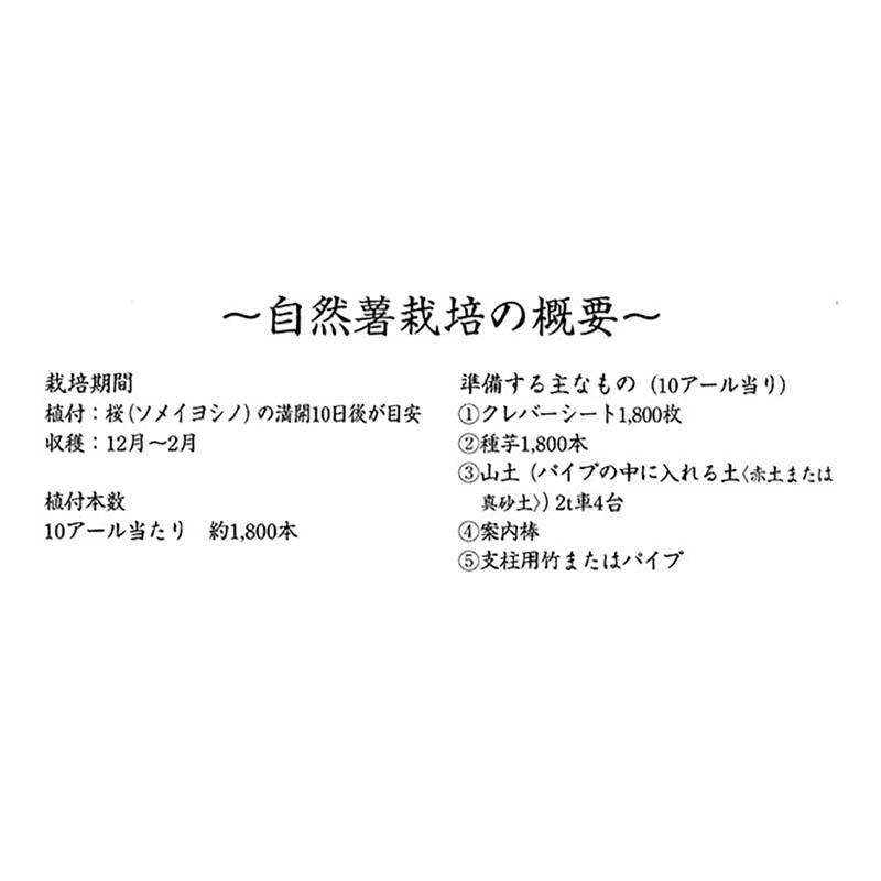 90本 新型クレバーシート 自然薯用 140cm 政田自然農園 30本×3セット タS 代引不可 |  | 02