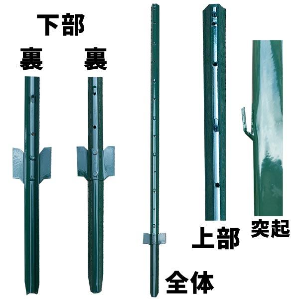 支柱のみ 緑 アニマルガードフェンス 2.0m用 支柱11本 グリーン アニマルフェンス 交換用 支柱 防獣対策 シンセイ 代引不可 GRF20 | 
