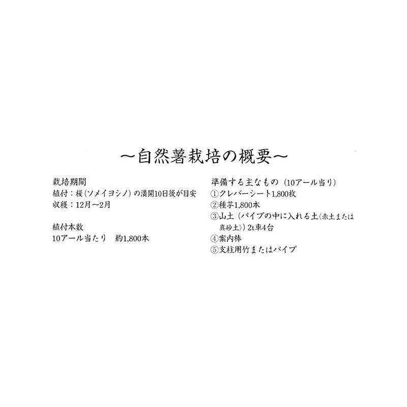 新型クレバーシート (自然薯用) 政田自然農園 タSZ |  | 02