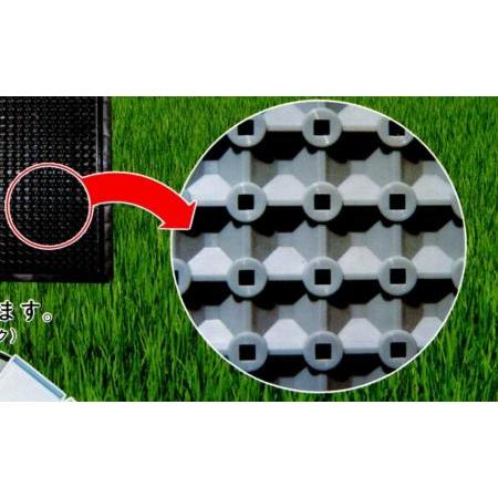 100枚 586穴 水稲用 育苗箱 クリーンカット 敷紙不要 畑 露地育苗に最適 新潟化成 本州限定価格 個人宅配送不可 代引不可 |  | 02