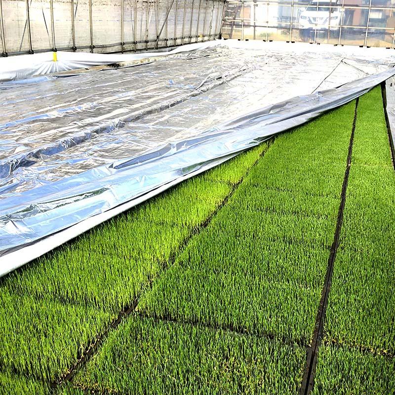 情熱セール 農業用品販売のプラスワイズ特注 2.35×40m 内張 TS 太陽 光