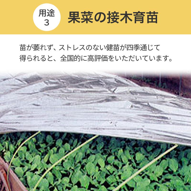 特注 2.35×40m 内張 TS 太陽 光反射 シート ピアレスフィルム 水稲 葉菜 果菜 育苗 べた掛け 潅水作業 省力化 断熱 遮光 保温 防湿性 カ施 代引不可 |  | 09