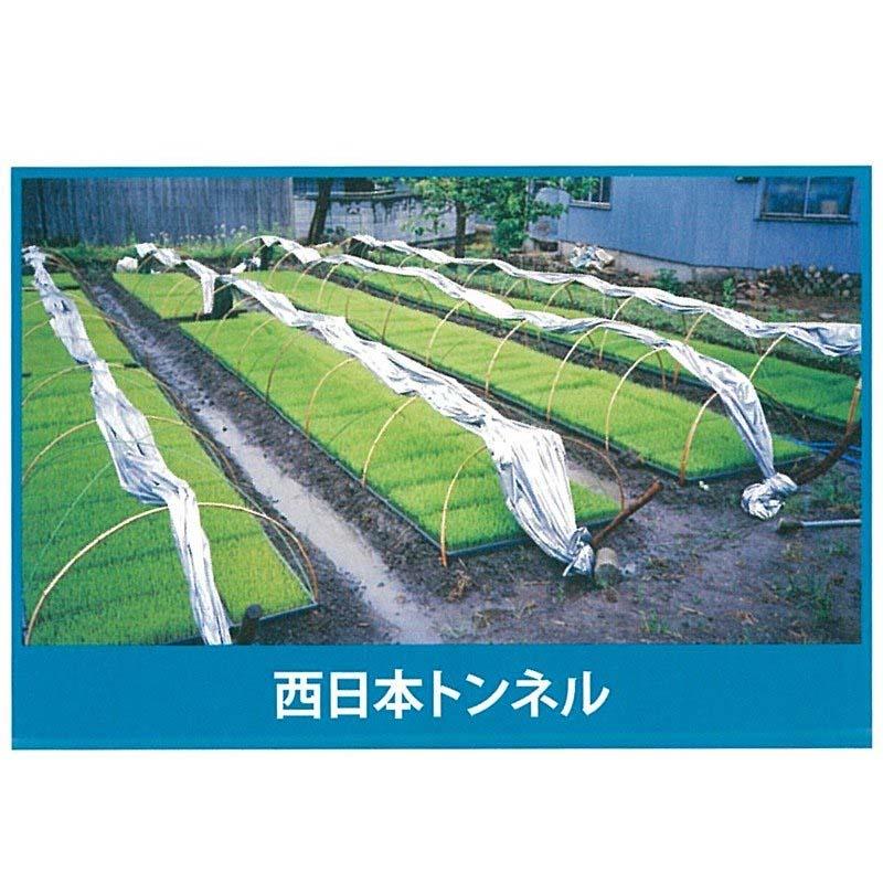 2本 シルバーポリトウ 水稲 用 ＃90 0.05mm×210cm×50m 育苗 に