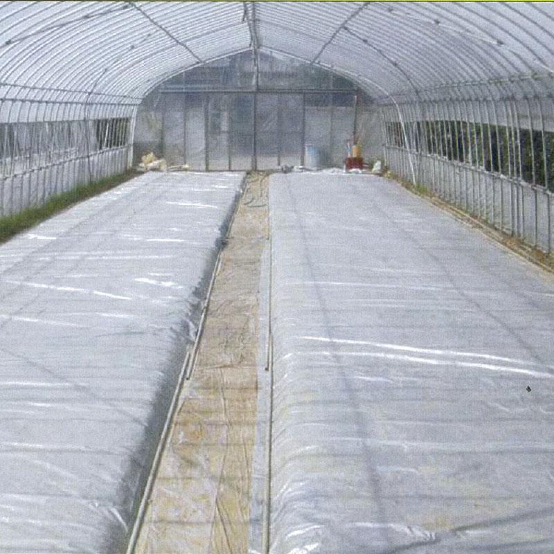 2本 シルバーポリトウ 水稲 用 ＃80 0.05mm×270cm×50m 育苗 に トーカン タS 個人宅配送不可 代引不可 | 