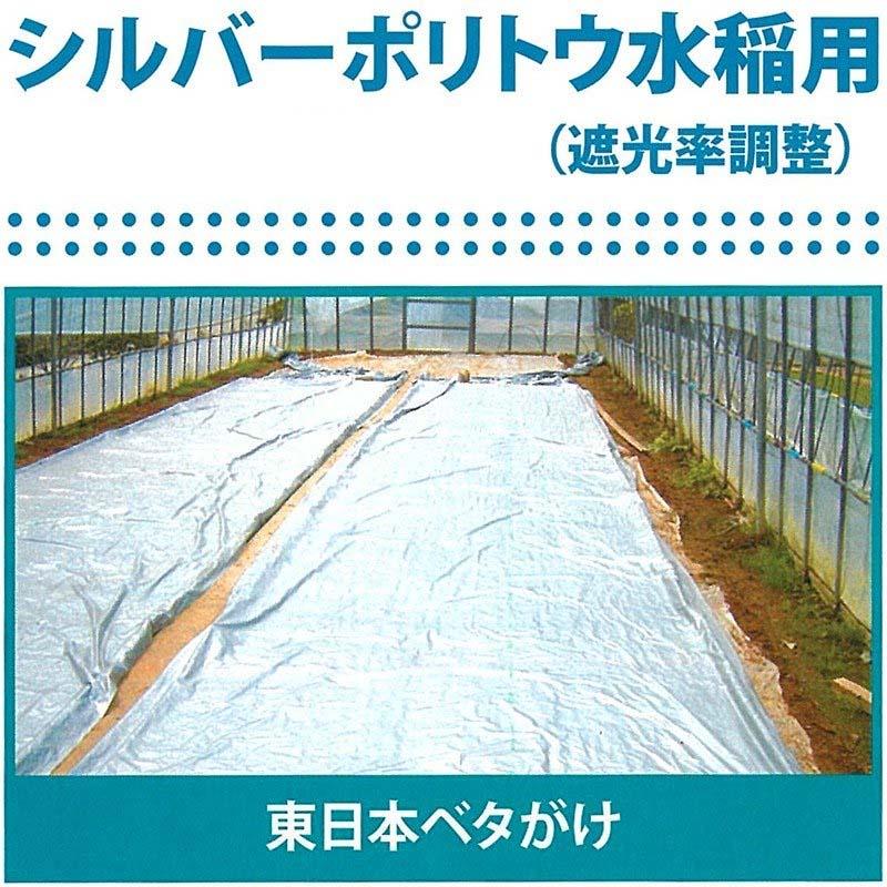 2本　シルバーポリトウ　水稲　用　育苗　270cm　50m　×　×　＃80　トーカン　に　0.05mm　タS　代引不可