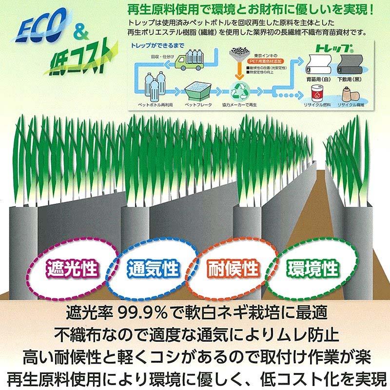 軟白 ネギ 栽培用シート トレップ 50cm×300m 黒 トレップ TT130B 長ネギ 長葱 東京インキ タS 個人宅配送不可 代引不可 |  | 01