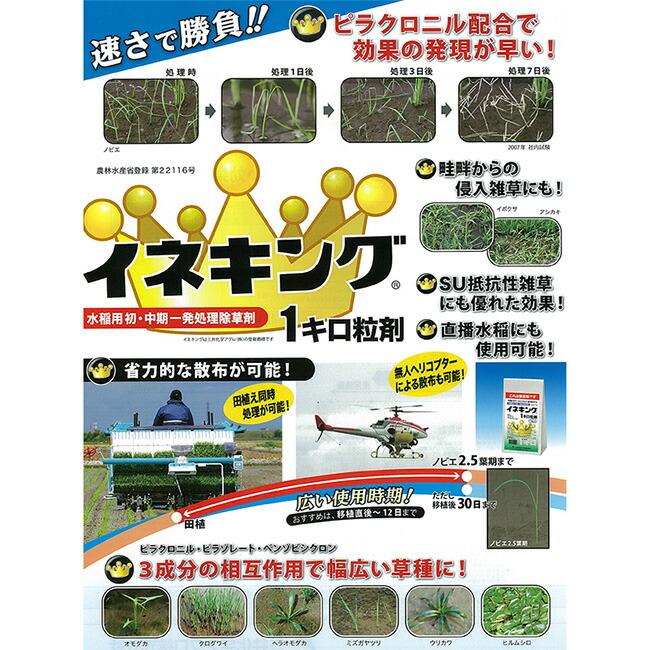 イネキング 1キロ粒剤 1kg 水稲除草剤 農薬 イN 代引不可 |  | 01