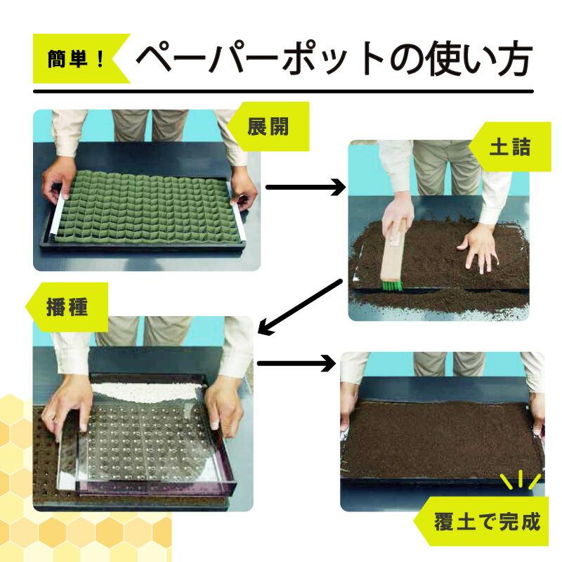 ペーパーポット No.2-264 1冊 (単品) 264鉢 紙筒 播種 種まき 育苗 苗 スイートコーン アスパラガス 野菜 ニッテン タS DZ |  | 07