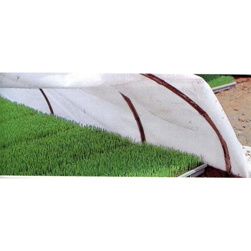 健苗シート 幅230cm×長さ25m 低発泡PEシート 水稲育苗用保温シート 積水フィルム 日A D | 