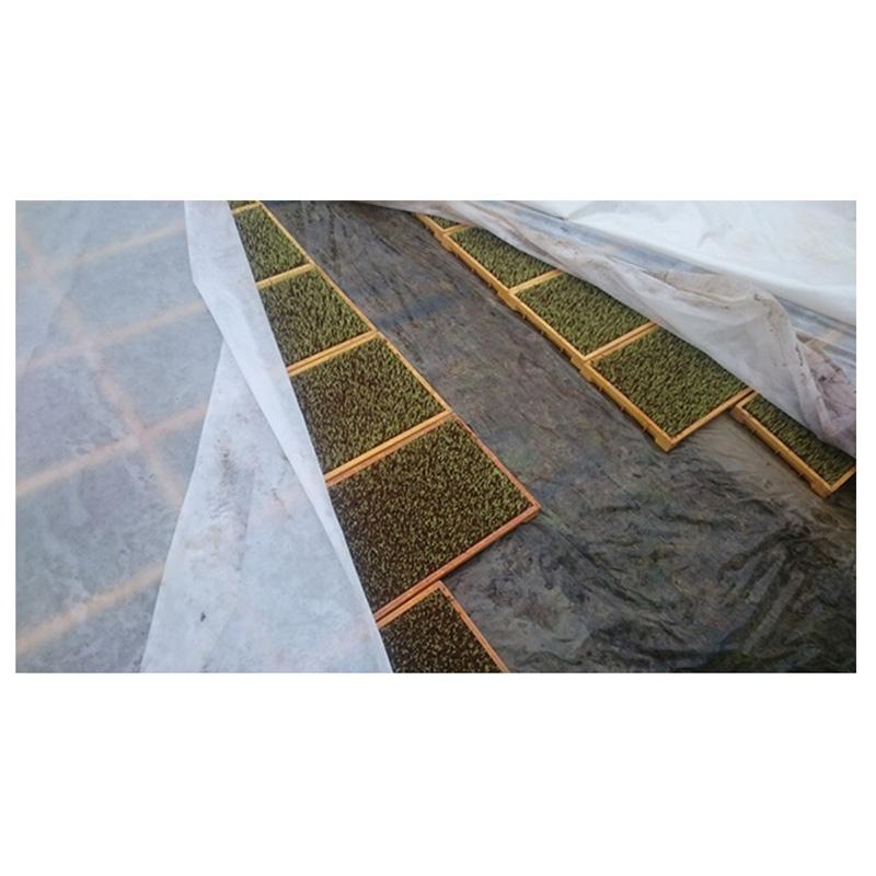 NEWアイホッカ #40 180ｃm×50m ダイヤテックス 保温・厚手不織布 トンネル栽培 防虫・防鳥 岩谷マテリアル イワタニ タS 個人宅配送不可 北海道不可 代引不可 |  | 03