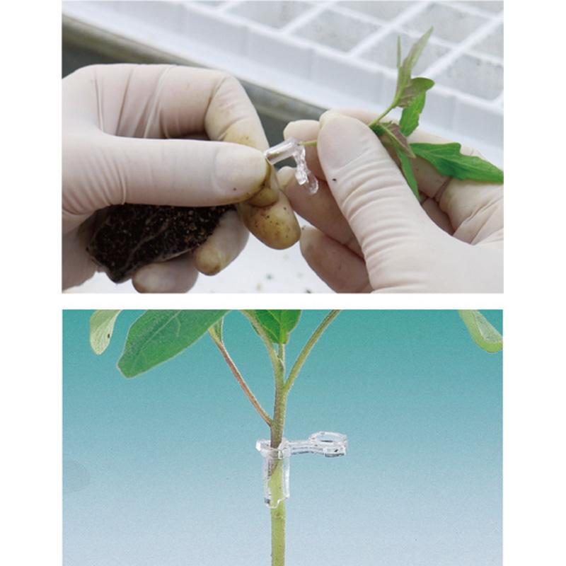 ジョインホルダー 2.1 1000個入 接木 用 ホルダー 茎径2.1から2.7mm シーム タS DZ |  | 02