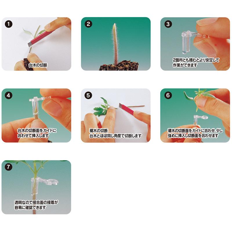 ジョインホルダー 2.1 1000個入 接木 用 ホルダー 茎径2.1から2.7mm シーム タS DZ |  | 04