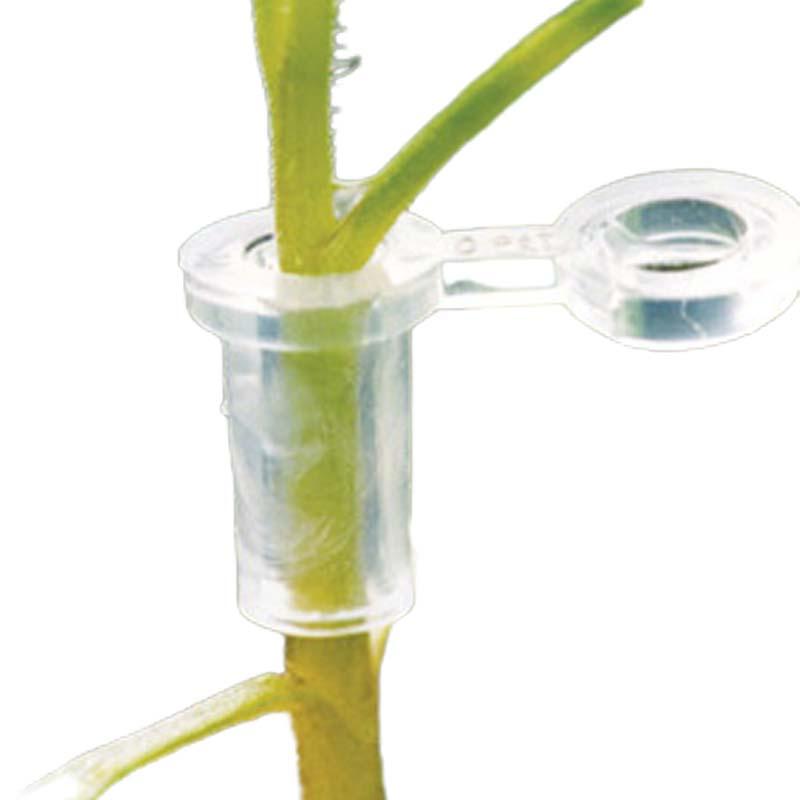 スーパーウィズ 23号 1000個 接ぎ木用ホルダー ナスニックス サT DZ | 