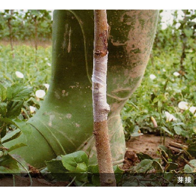 30巻×30m×25mm、ミシン目70mm ニューメデール 接木用テープ アグリス 接ぎ木 NEWメデール サT 代引不可 |  | 04