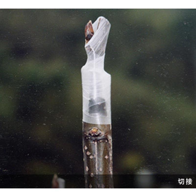 30巻 ニューメデール 接木用テープ ミシン目無し 幅30mm 30mアグリス 接ぎ木 NEWメデール サT 代引不可 |  | 02