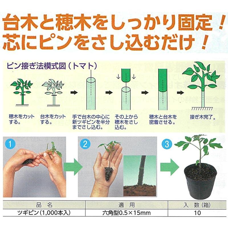 10000本 ツギピン タキイ式ピン接ぎ法 トマト・ナス専用 タキイ種苗 代引不可 |  | 01