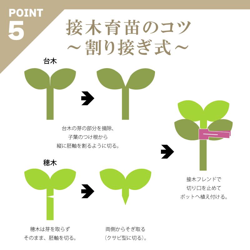 200個×50箱 接木フレンド バイオレット 紫 接木用 クリップ 接ぎ木 ナス科用 ウリ科用 兼用 ジベレリン処理 目印 日本ピアレス工業 カ施 代引不可 北海道不可 |  | 08