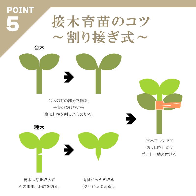 200個×50箱 接木フレンド オレンジ 橙色 接木用 クリップ 接ぎ木 ナス科用 ウリ科用 兼用 ジベレリン処理 目印 日本ピアレス工業 カ施 北海道不可 代引不可 |  | 08
