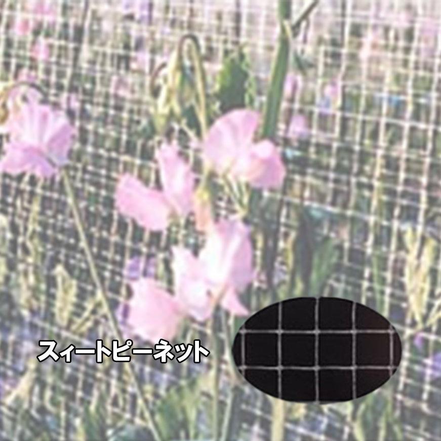 2本 スイートピーネット 目合18×20mm 4m×100m 白 OF1674 コンウェッドネット タS 代引不可 | 