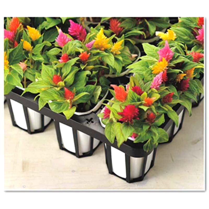 40枚 TO スペーシングトレー 7.5cm 深型 24穴 黒 外寸376×486×94mm 穴トレー ポリポットに 東海化成 京G 代引不可 |  | 02