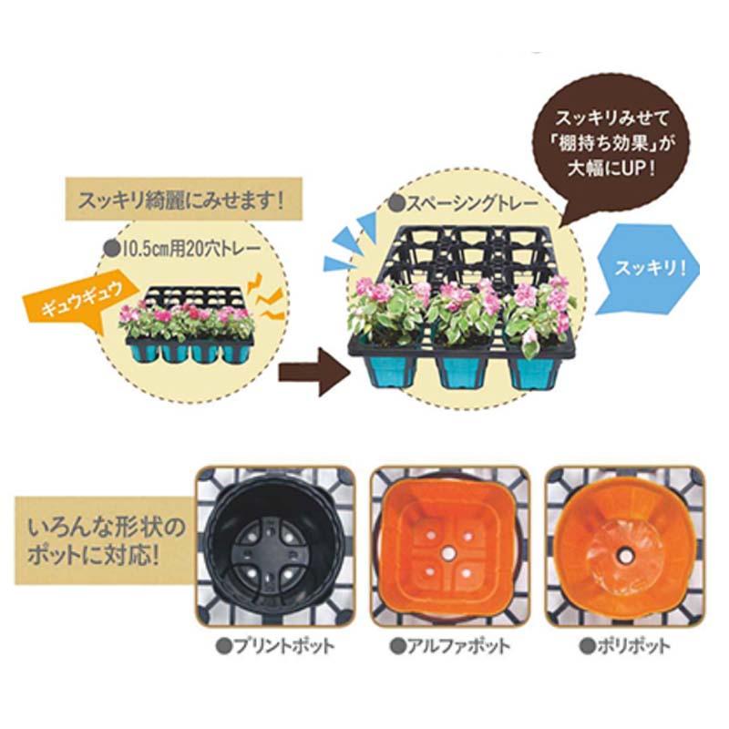 40枚 TO スペーシングトレー 7.5cm 深型 24穴 黒 外寸376×486×94mm 穴トレー ポリポットに 東海化成 京G 代引不可 |  | 03