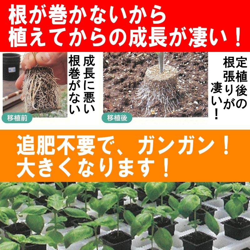 培土のみ50個 国産 圧縮培土 育苗の達人 根巻しない そのまま植えられる成形土ポット アイエスマック 代引不可 |  | 02