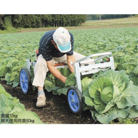 ハラックス 乗用植え付け・収穫兼用作業車 ナエッコ NKH-600S 防J 個人宅配送不可 代引不可 | HARAX | 02