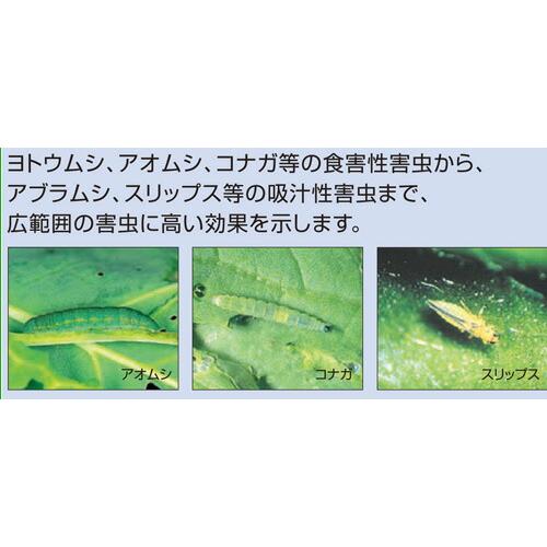 5個 殺虫剤 オルトラン水和剤 100g アリスタライフ 農薬 Vデ 代引不可 産直 |  | 01