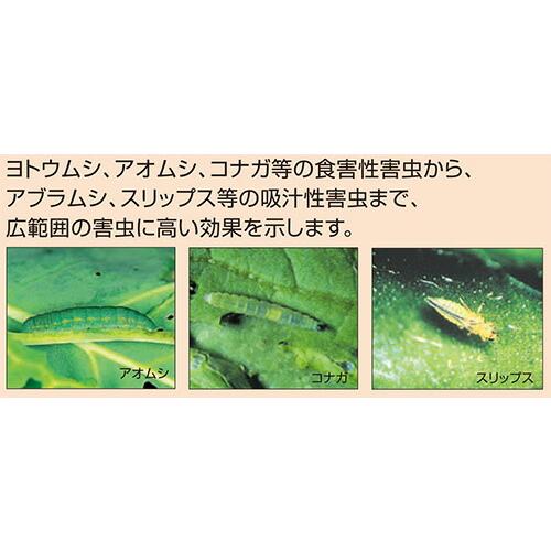 5個 殺虫剤 オルトラン粒剤 3kg アリスタライフ 農薬 イN 代引不可 |  | 01