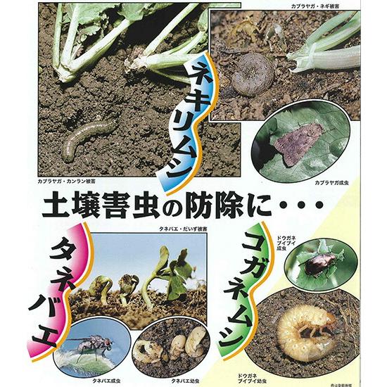 5個 殺虫剤 カルホス粉剤 3kg 日曹 害虫防除 農薬 イN 代引不可の画像