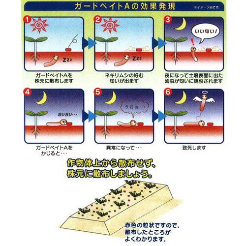 5個 殺虫剤 ガードベイトA 2kg ネキリムシ 駆除 サンケイ化学 農薬 イN 代引不可 |  | 01