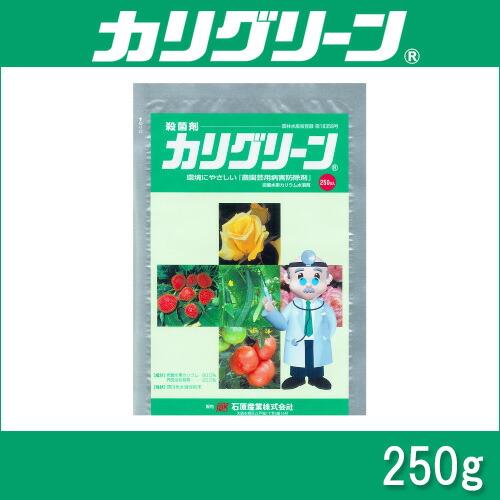 5個 カリグリーン 250g 殺菌剤 OATアグリオ うどんこ病 農薬 Vデ 代引不可 産直 |  | 01