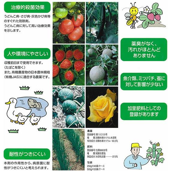 5個 カリグリーン 250g 殺菌剤 OATアグリオ うどんこ病 農薬 Vデ 代引不可 産直 |  | 02