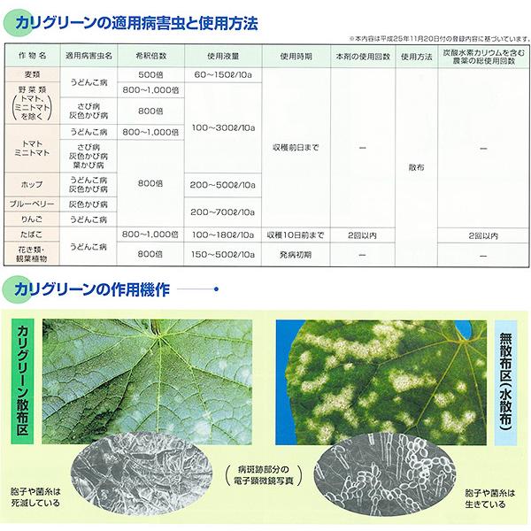 5個 カリグリーン 250g 殺菌剤 うどんこ病 農薬 イn 代引不可 農業用品販売のプラスワイズ 通販 Yahoo ショッピング