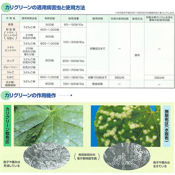 5個 カリグリーン 250g 殺菌剤 OATアグリオ うどんこ病 農薬 Vデ 代引不可 産直 |  | 03