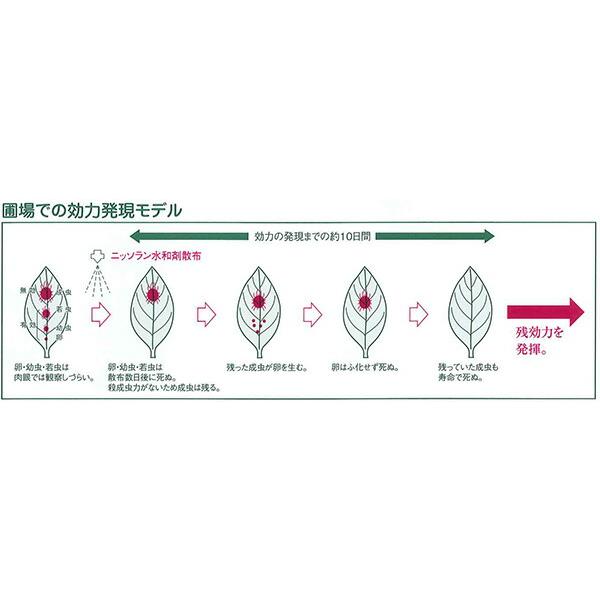 5個 ニッソラン水和剤 100g 日本曹達 ダニ剤 農薬 Vデ 代引不可 産直 |  | 02