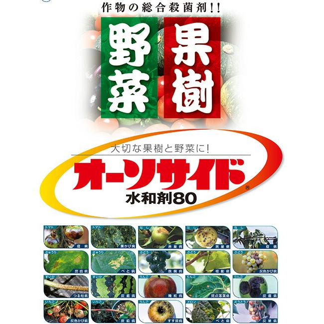 5個 オーソサイド水和剤 500g 殺菌剤 農薬 イN 代引不可 |  | 01
