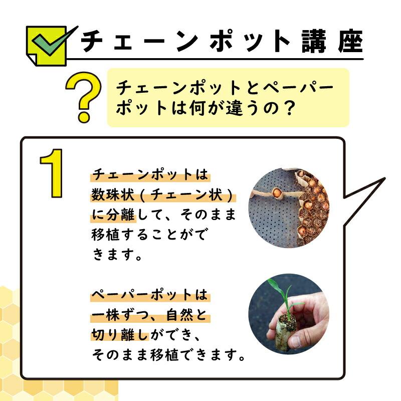 LPチェーンポット LP303-10 1冊 (単品) 株間10cm 264鉢 播種 種まき 育苗 青ネギ 菊 花き類 農業 lp303-10 チェーンポット 紙筒 ニッテン 日本甜菜製糖 タSDZ |  | 11