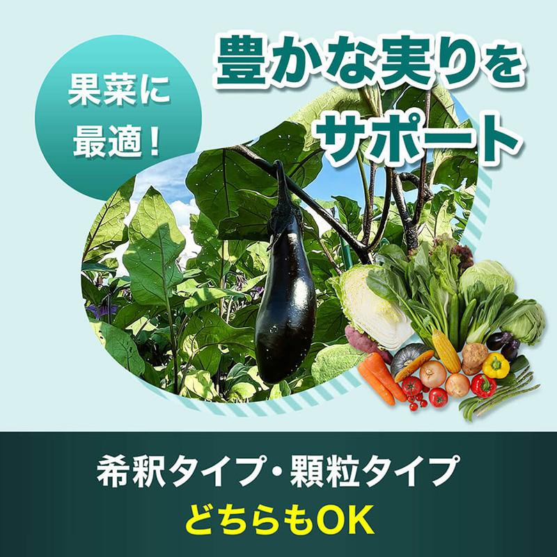 HB-101 20L フローラ 原液 HB101 天然植物活性剤 活力液 液肥 肥料 栄養剤 花 野菜 植物 栽培 園芸 家庭菜園 ガーデニング 農家 植物活性剤 Vデ 代引不可 産直 |  | 04