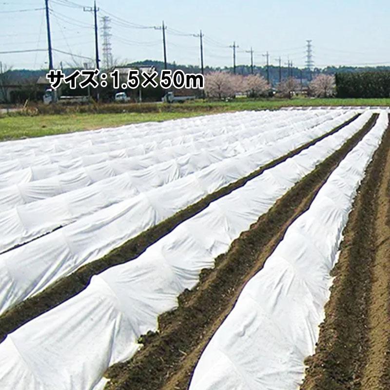 1.5×50m 強化不織布 不織布 + クロス ひだまり 保温被覆資材 トンネル掛け ベタ掛け ダイヤテックス サT 北海道不可 代引不可 | 