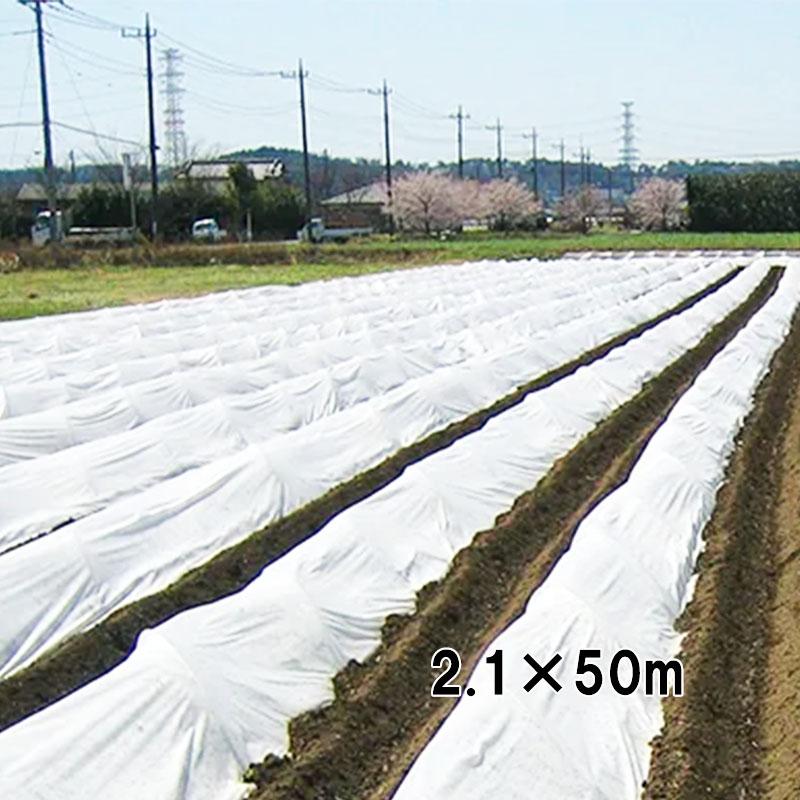 2.1×50m 強化不織布 不織布 + クロス ひだまり 保温被覆資材 トンネル掛け ベタ掛け ダイヤテックス サT 北海道不可 代引不可 | 