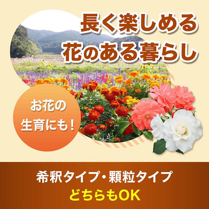 HB-101 500cc フローラ 原液 HB101 天然植物活性剤 活力液 液肥 肥料 栄養剤 花 野菜 植物 栽培 園芸 家庭菜園 ガーデニング 農家 植物活性剤 Vデ 代引不可 産直 |  | 05