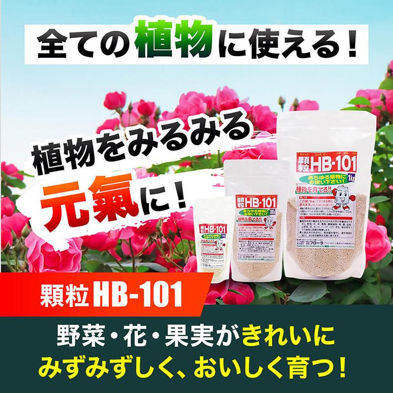 顆粒 HB-101 1kg フローラ HB101 天然植物活性剤 肥料 栄養剤 花 野菜 観葉植物 多肉植物 栽培 園芸 家庭菜園 ガーデニング 農家 植物活性剤 Vデ 代引不可 産直 |  | 02