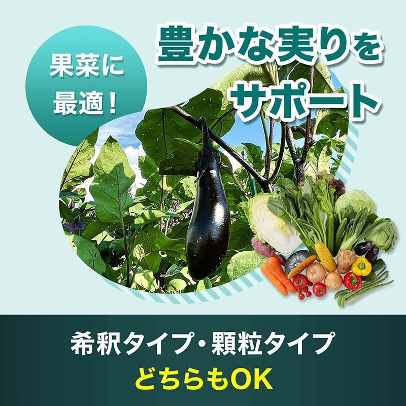 顆粒 HB-101 1kg フローラ HB101 天然植物活性剤 肥料 栄養剤 花 野菜 観葉植物 多肉植物 栽培 園芸 家庭菜園 ガーデニング 農家 植物活性剤 Vデ 代引不可 産直 |  | 04