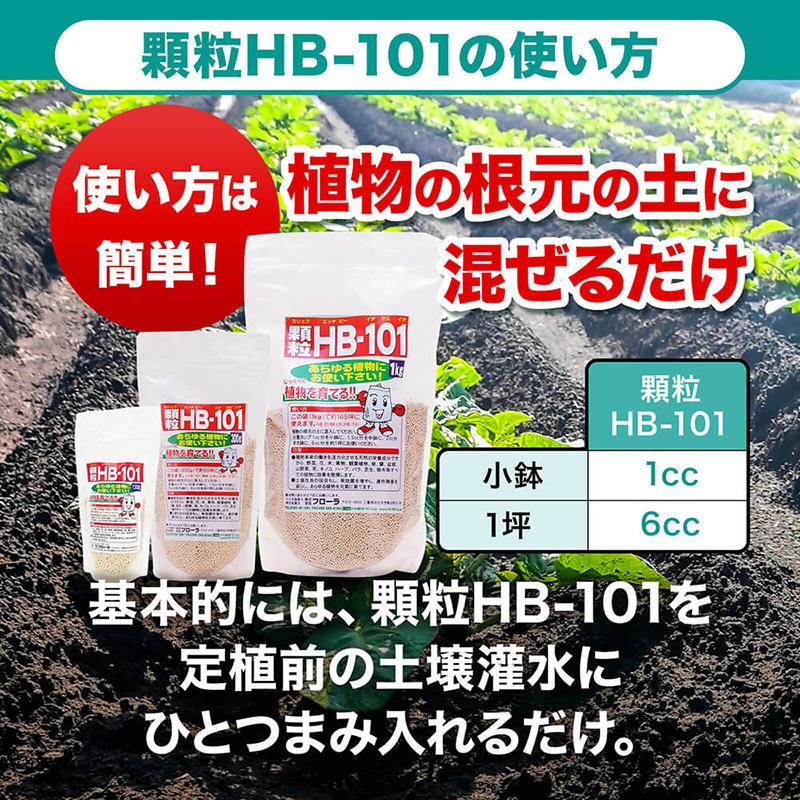 顆粒 HB-101 1kg フローラ HB101 天然植物活性剤 肥料 栄養剤 花 野菜 観葉植物 多肉植物 栽培 園芸 家庭菜園 ガーデニング 農家 植物活性剤 Vデ 代引不可 産直 |  | 06