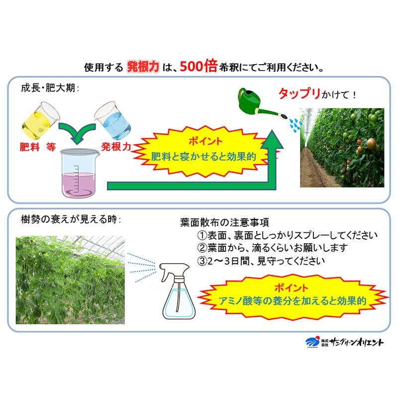 発根力 10kg 発根促進剤 液肥 液体肥料 500倍希釈 10L 発根 促進 家庭菜園 ガーデニング 園芸 用品 資材 農業用品 農業資材 サングリーンオリエント タS DZ |  | 05