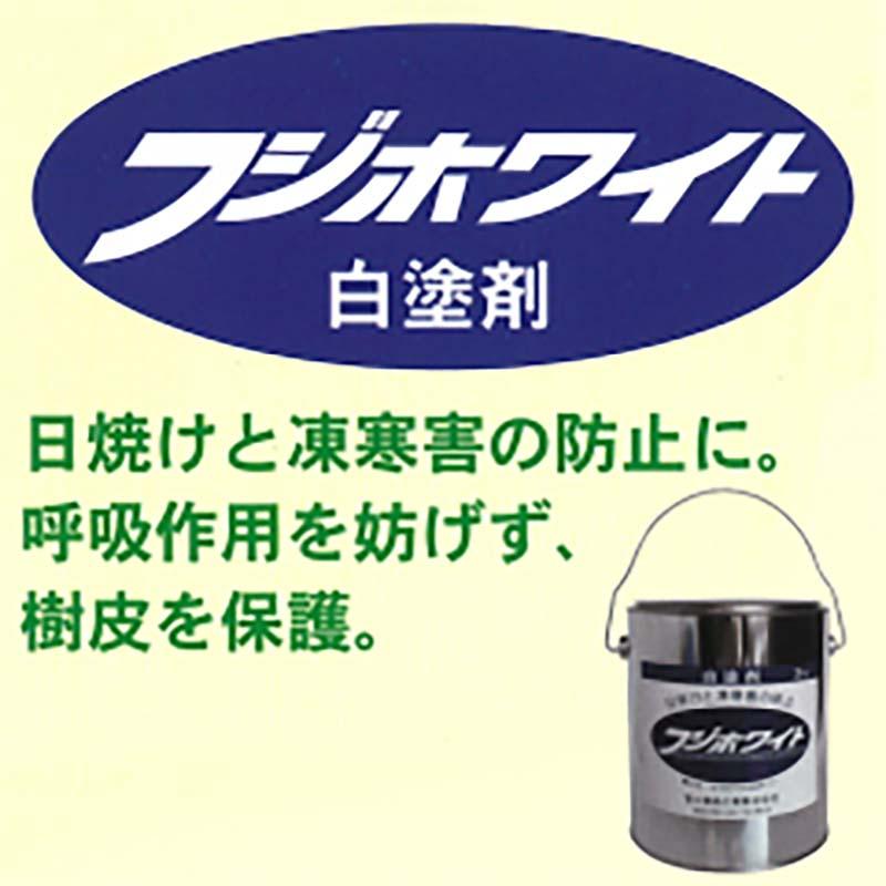 フジホワイト 白塗剤 3kg 樹皮保護材 保護剤 樹木富士商事 タS 代引不可 |  | 01
