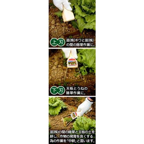草けずり鎌 中耕くわ もん太 三冨D | 